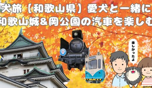 愛犬と一緒に和歌山の歴史を巡る！和歌山城＆岡公園の汽車で楽しむ特別な日